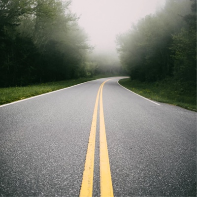 picture of a road in a forest